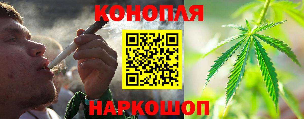 Бошки Шишки гибрид Вышний Волочёк